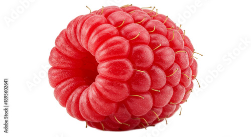 Single Macro Raspberry Frui...
