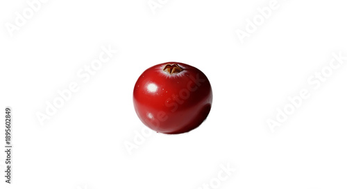 Single Red Cranberry Isolat...