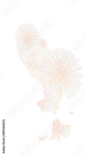 Soft Pink And Purple Firewo...
