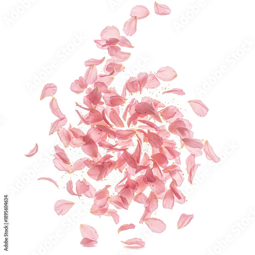 Soft Pink Cherry Blossom Pe...