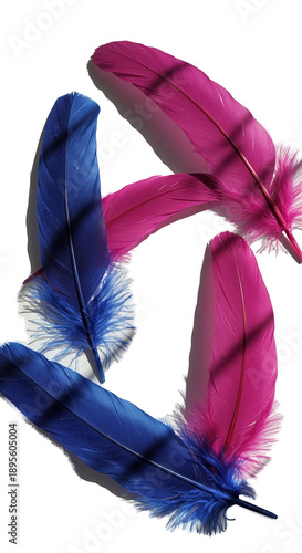Sparkling Blue and Pink Fea...