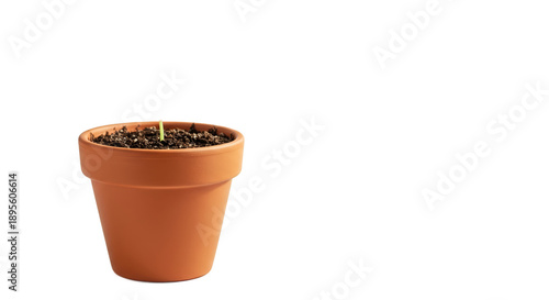 Terracotta Pot With Sprout ...