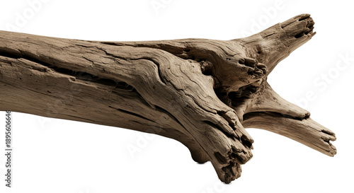 Textured Dry Wood Branch Isolated Realistic Photo Natural Detail