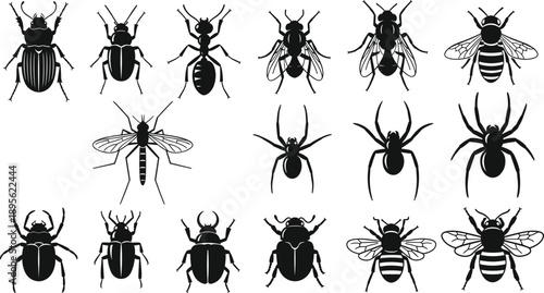Insect and spider silhouette set, beetle ant fly mosquito bug collection, wildlife anatomy concept, black flat vector illustration