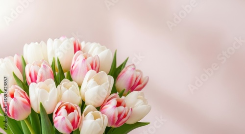 Elegant bouquet of white and pink tulips on a soft pink background.