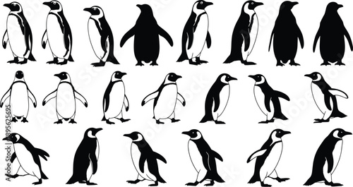 Penguin silhouettes collection in various standing and walking poses, arctic wildlife birds set, black and white animal illustration isolated on white background