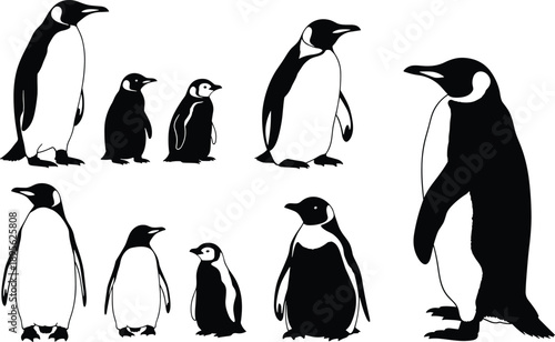 Penguin silhouettes set with adult and baby poses, arctic wildlife birds collection, black and white animal illustration isolated on white background