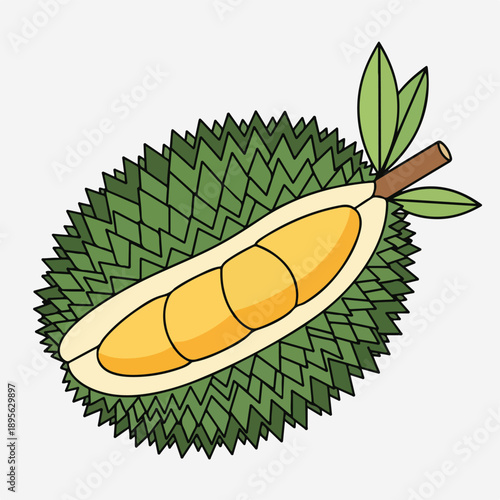 A sliced open spiky green fruit with yellow segments and leaves