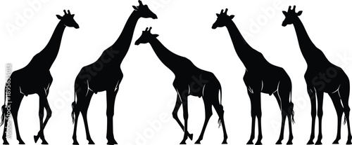 Black giraffe silhouettes isolated on white background showing multiple poses African wildlife animal vector illustration minimal nature design collection safari theme art set
