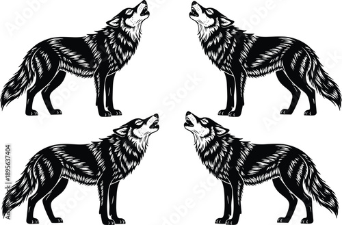 Howling wolf silhouettes set isolated on white background showing wild animal behavior detailed hand drawn style wildlife vector illustration powerful nature design