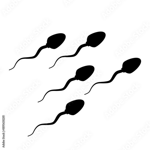 Sperm Swimming to Fertilize Female Egg Icon Black Silhouette