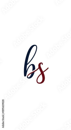 Elegant Initial Logo Design - A Fusion of b and s in Script.