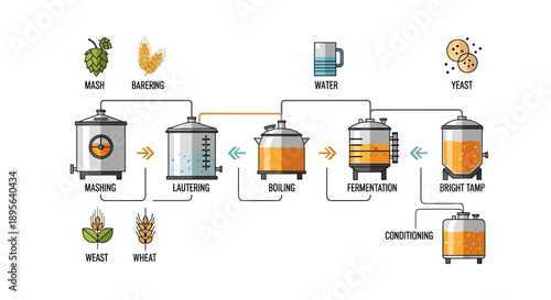 A detailed illustration of the beer brewing process from raw ingredients to finished product, showing each stage of production.