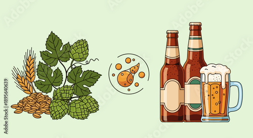 Illustration depicting the brewing process with ingredients like hops and barley transforming into beer bottles and a mug.