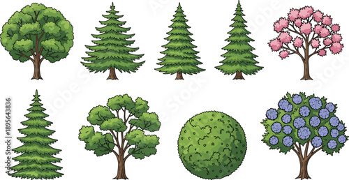 Cartoon tree and shrub collection with evergreen pine flowering plants isolated on white for landscape garden design vector