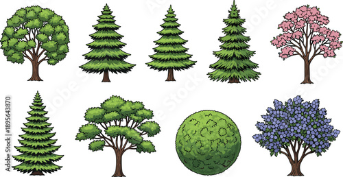 Collection of detailed cartoon trees and shrubs isolated on white showing various forest garden plants for landscape design illustration