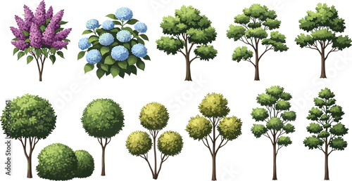 Set of detailed flowering trees shrubs and bushes isolated on white for garden landscaping botanical nature design illustration