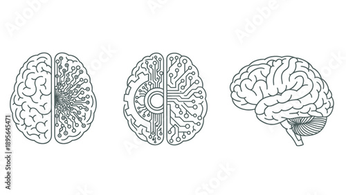 Educational sequence of three brain anatomy illustrations showing different views for science awareness.