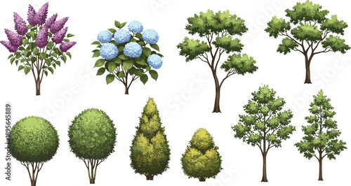 Collection of ornamental trees and flowering shrubs isolated vector garden plants for landscape design park landscaping elements set