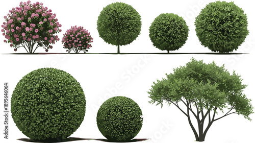 Realistic garden bushes and small trees collection isolated on white background vector landscaping elements for park exterior design projects