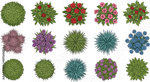 Top view collection of decorative garden plants, shrubs, flowers and bushes isolated vector set for landscape design planning projects