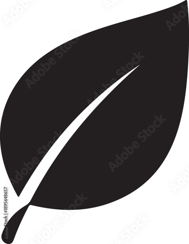 Single black and white leaf isolated on transparent background for design and nature themes