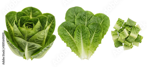 a composition of fresh romaine lettuce, including a whole head, separated leaves, and chopped pieces, set against a dark background for culinary and health-focused presentations.