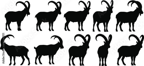 Mountain goat and ibex silhouettes set with curved horns showing wild alpine animals isolated on white background vector illustration