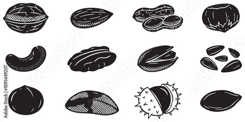 Collection of various nuts and seeds depicted in a simple, illustrative, black and white style, perfect for food-related designs.