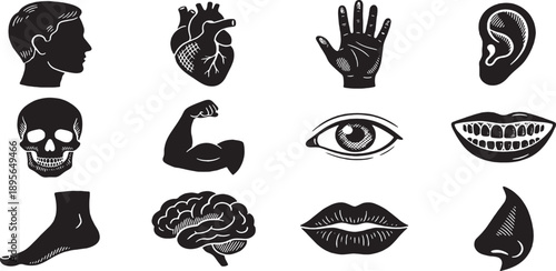 Adobe Illustrator Artwork