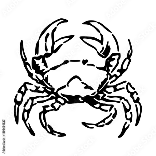 marine crab sketch style for logo and emblem