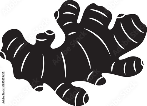 High Contrast Ginger Root Silhouette Organic Shape.eps