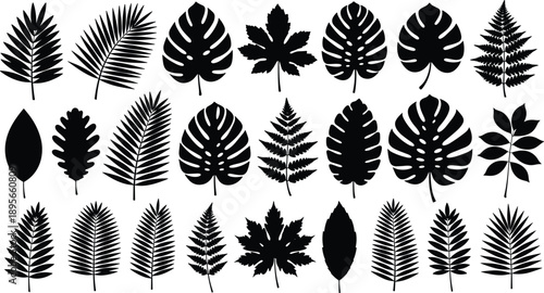 Collection of tropical leaf silhouettes, monstera deliciosa, palm fronds, fern branches, maple leaves, and exotic jungle foliage isolated on white background vector illustration.