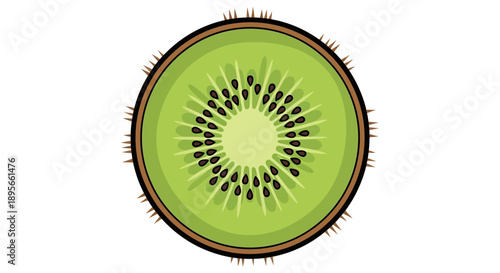 Close-up Illustration of a Fresh Kiwi Fruit Cross-section with Green Flesh and Black Seeds