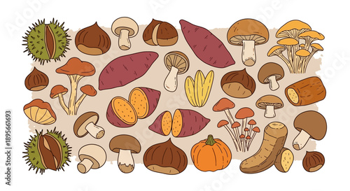 Autumnal harvest featuring chestnuts, mushrooms, sweet potatoes, and a pumpkin in a charming