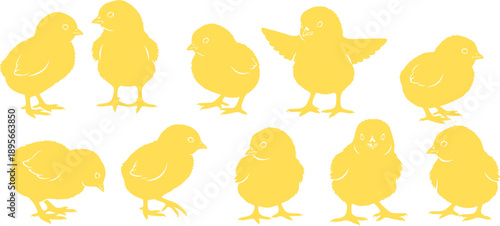 Cute baby chicks' silhouettes collection farm animals.
