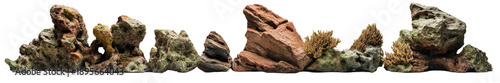 Aquarium Decorative Rocks and Plants Arrangement