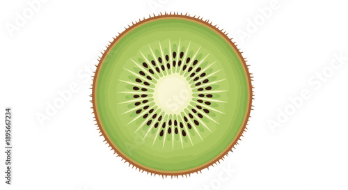 Close-up of a fresh green kiwi fruit cross-section with detailed pulp and seeds visualization