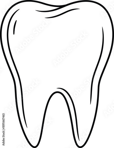 Simple line drawing of a human molar tooth