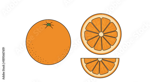 Minimalistic Illustration of Whole and Sliced Orange Showing Interior and Exterior Details