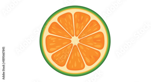 Colorful citrus fruit slice illustration featuring vibrant orange segments and a green rind for