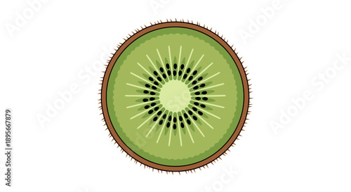 Close-Up Illustration of a Fresh Juicy Kiwi Fruit Cross-Section with Green Flesh and Black Seeds