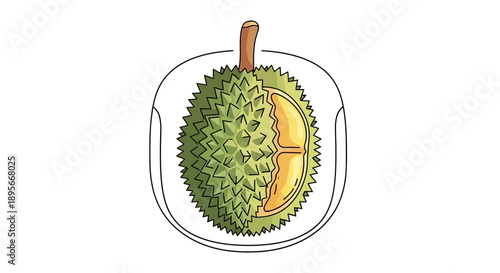 Illustration of a durian fruit half showing its spiky exterior and creamy interior with a seed