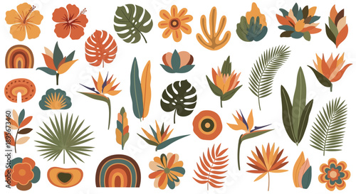 Tropical plant set. Exotic floral elements.