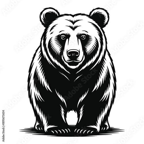 brown bear vector