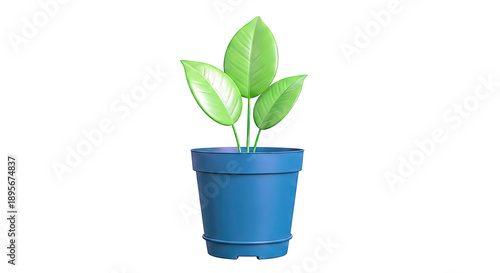 Green Plant in Teal Pot