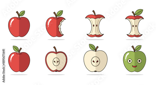 Apple stages vector icons set