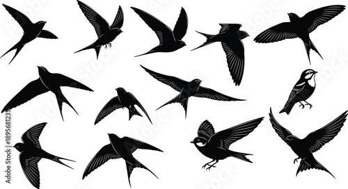 Bird silhouette icons, flying and perched symbols, vector illustration, black design, minimal layout, nature graphics, avian poses