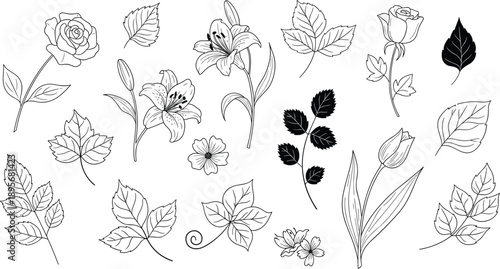 Botanical flower and leaf icons, floral silhouette symbols, vector illustration, black design, minimal layout, nature graphics