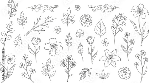 Botanical silhouette icons, floral and leaf symbols, vector illustration, black design, minimal layout, nature graphics, decorative elements